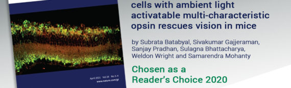 Nature Gene Therapy: Sensitization of ON-bipolar cells with ambient light activatable multi-characteristic opsin rescues vision in mice