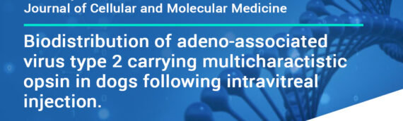 Journal of Cellular and Molecular Medicine: Biodistribution of adeno-associated virus type 2 carrying multi-characteristic opsin in dogs following intravitreal injection